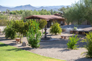 The Meadows Ranch garden