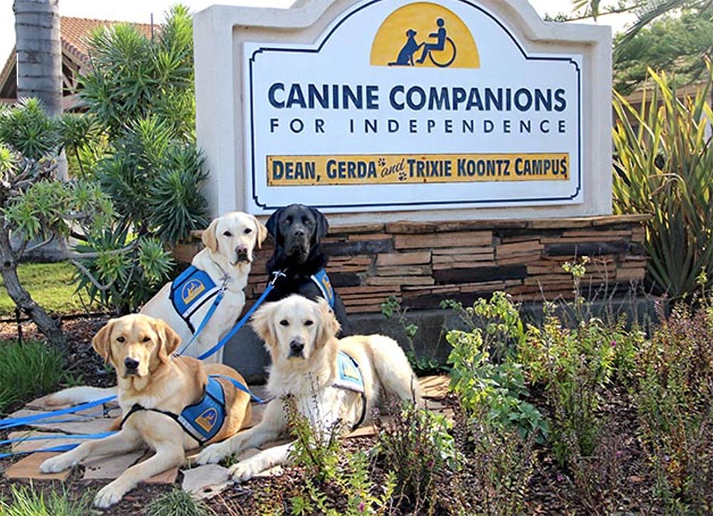 Canine Companions