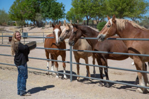 Equine Therapy