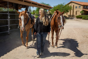 Meadows Ranch equine