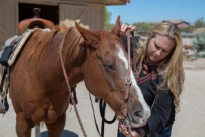 Meadows Ranch equine