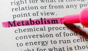 Metabolism highlighted in book